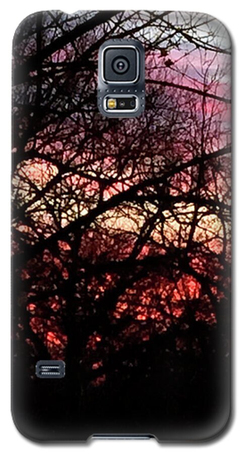 Sunset Through The Trees - Phone Case