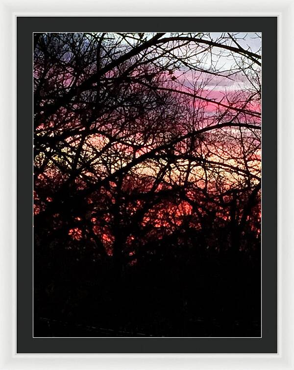 Sunset Through The Trees - Framed Print