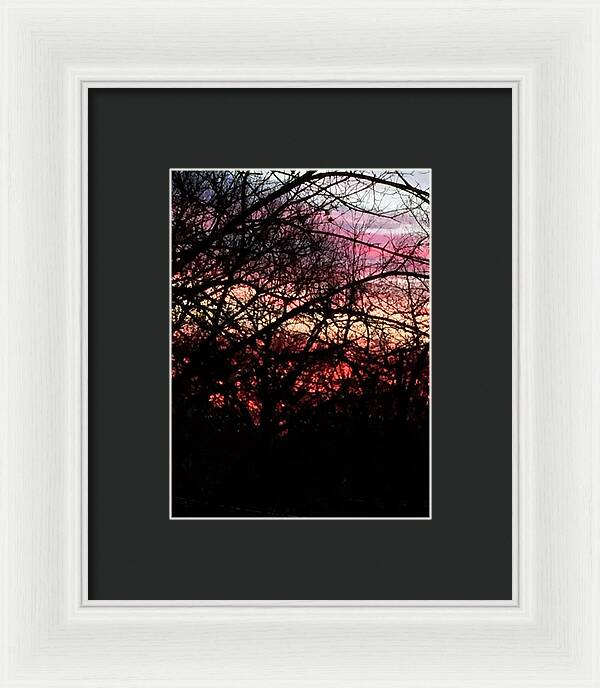 Sunset Through The Trees - Framed Print