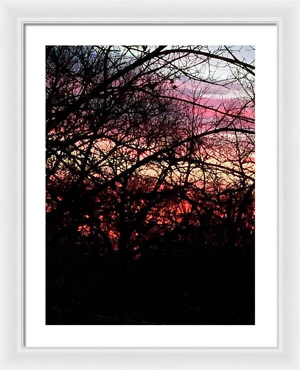 Sunset Through The Trees - Framed Print