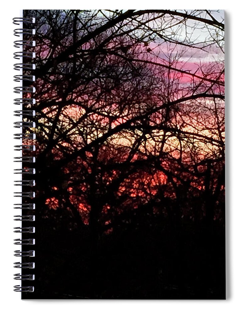 Sunset Through The Trees - Spiral Notebook