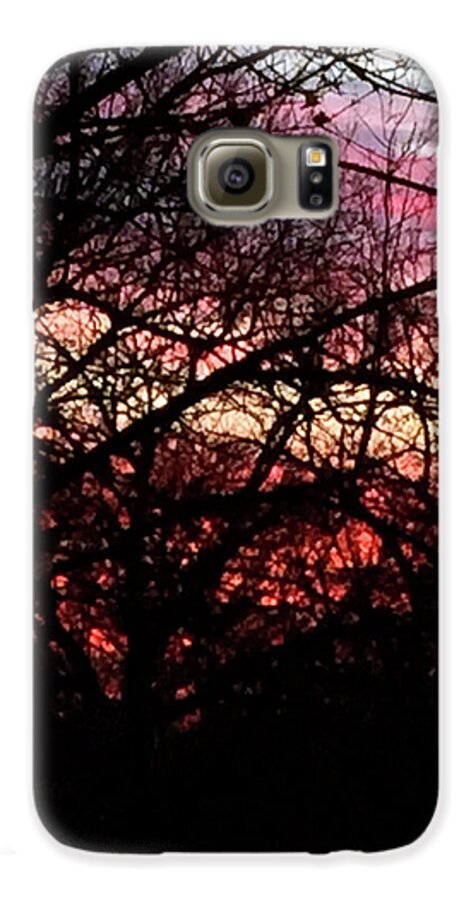 Sunset Through The Trees - Phone Case