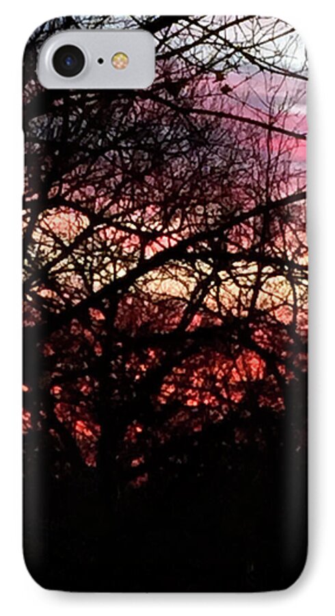 Sunset Through The Trees - Phone Case