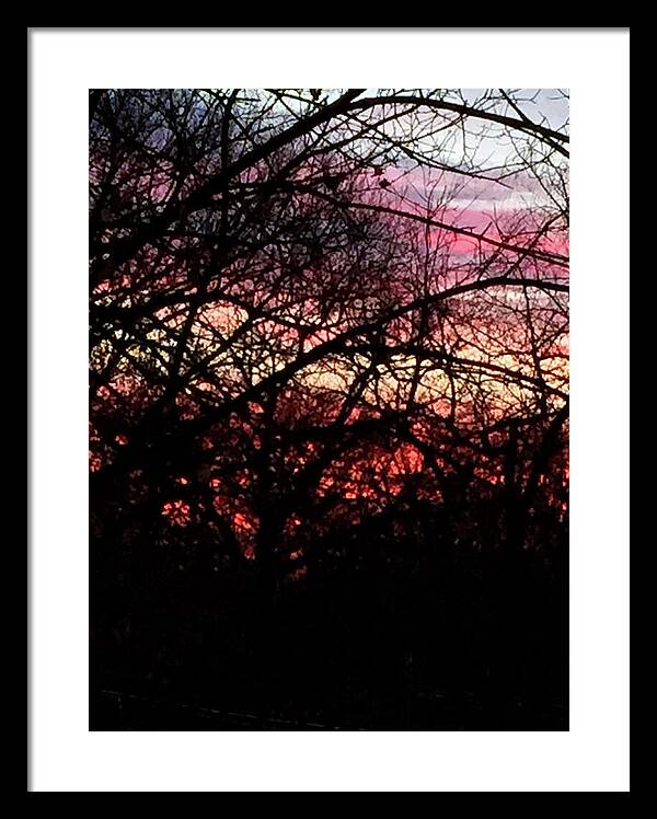 Sunset Through The Trees - Framed Print