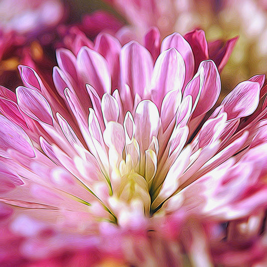 Tube Petal Flower Digital Image Download