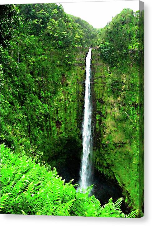 Waterfall Hawaii - Canvas Print