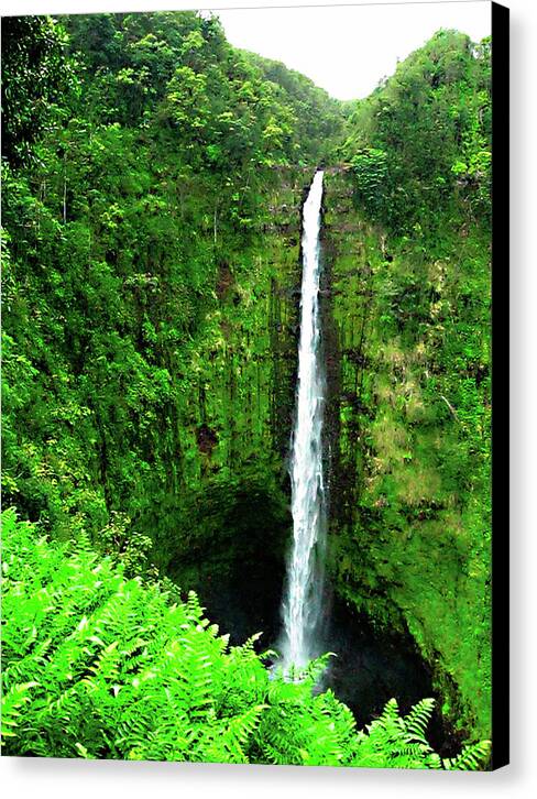 Waterfall Hawaii - Canvas Print