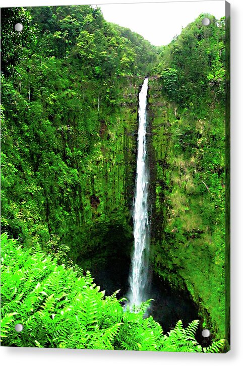 Waterfall Hawaii - Acrylic Print