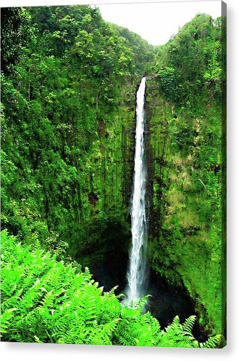 Waterfall Hawaii - Acrylic Print