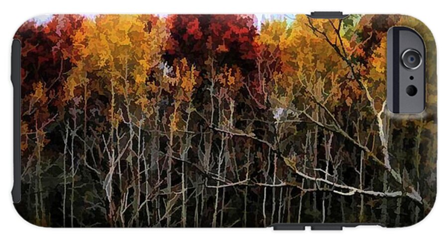 Wisconsin Woods In The Fall - Phone Case