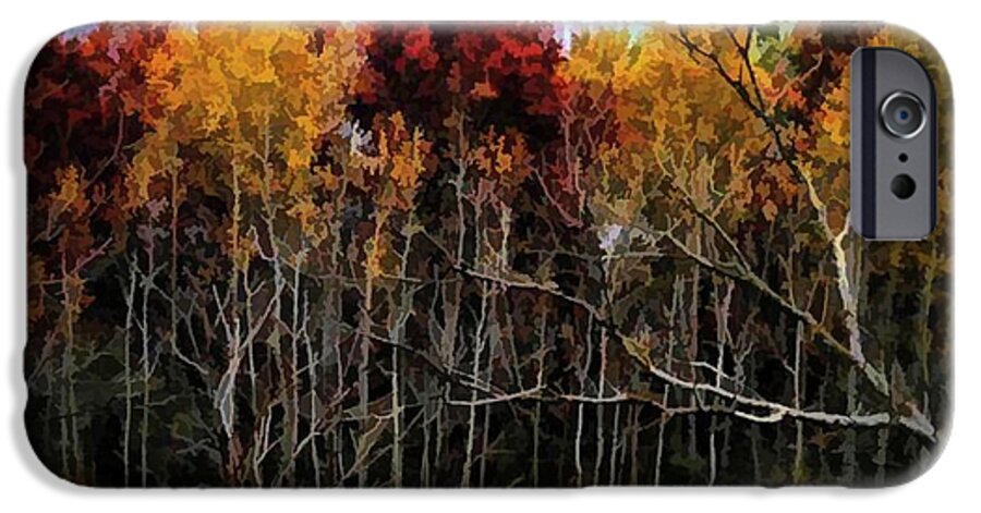 Wisconsin Woods In The Fall - Phone Case