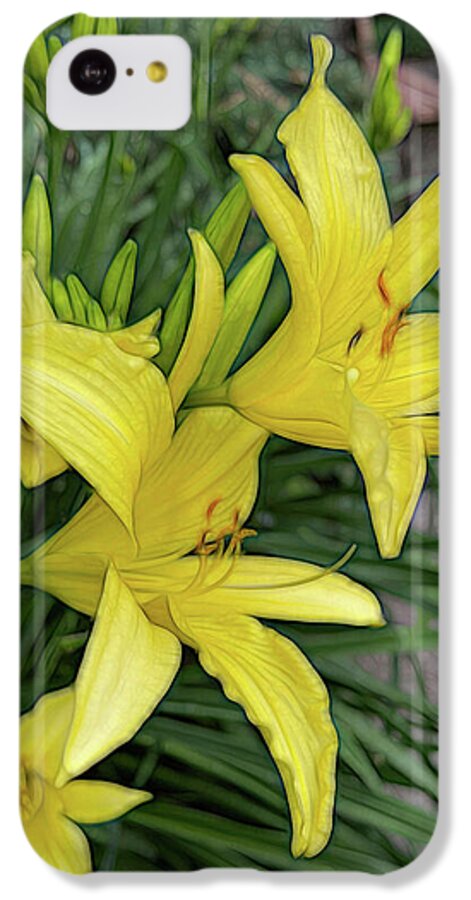 Yellow Daylilies In July - Phone Case