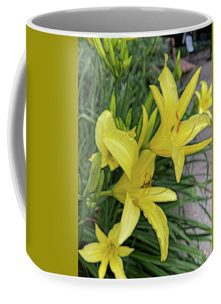 Yellow Daylilies In July - Mug