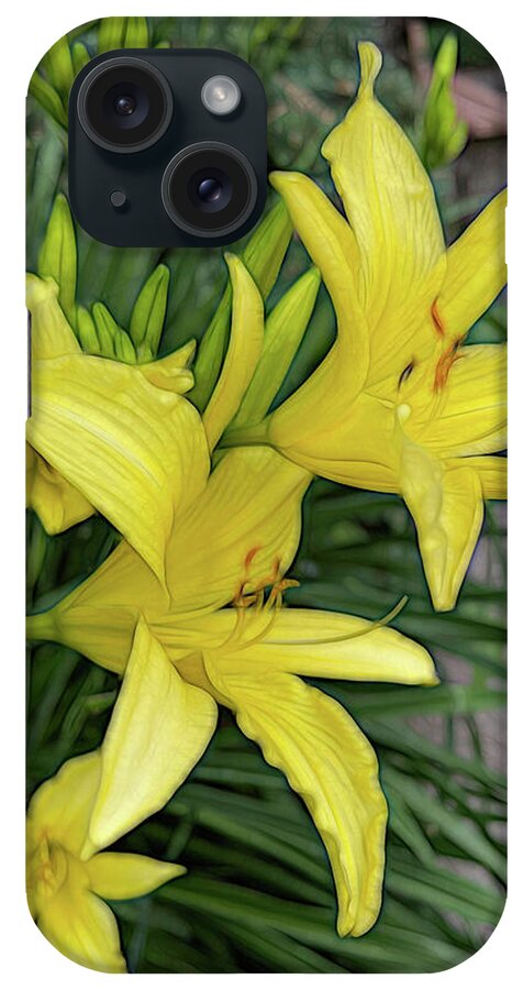 Yellow Daylilies In July - Phone Case