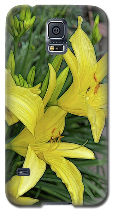 Yellow Daylilies In July - Phone Case