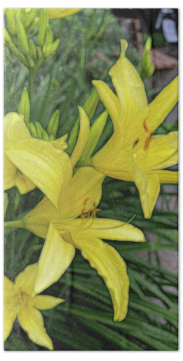 Yellow Daylilies In July - Bath Towel