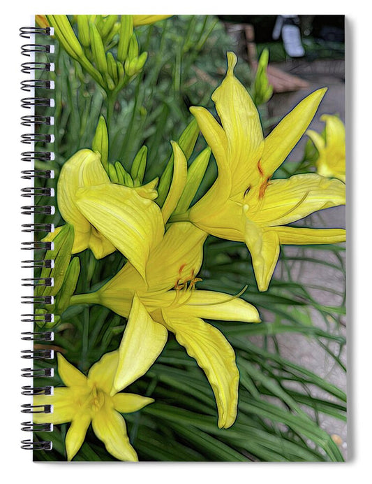 Yellow Daylilies In July - Spiral Notebook