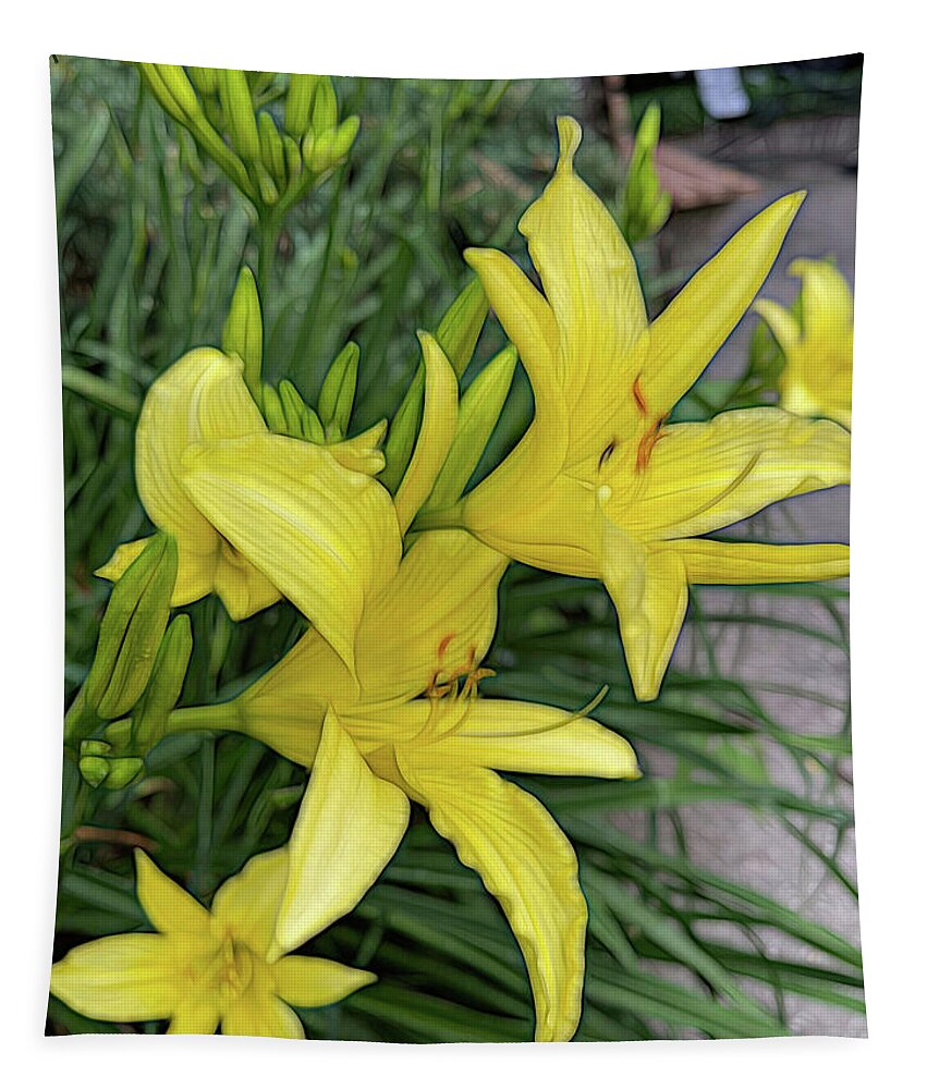 Yellow Daylilies In July - Tapestry