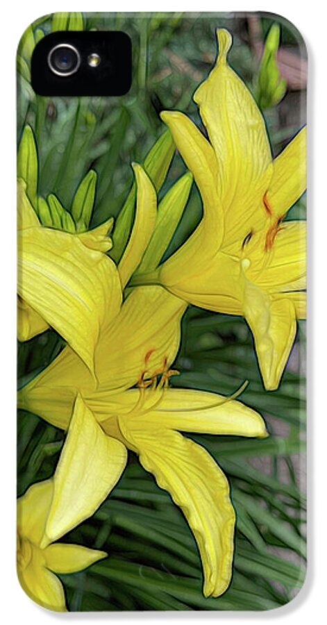 Yellow Daylilies In July - Phone Case