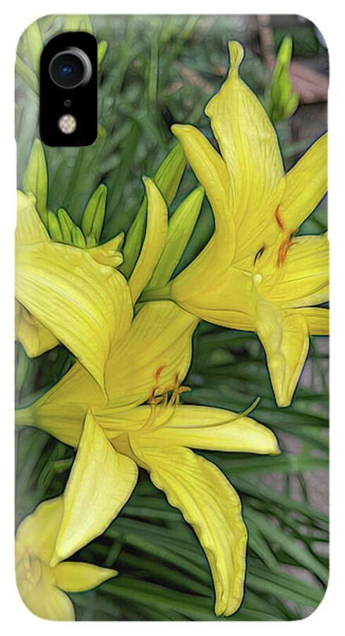 Yellow Daylilies In July - Phone Case