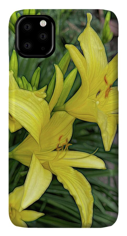 Yellow Daylilies In July - Phone Case