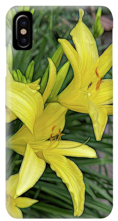 Yellow Daylilies In July - Phone Case