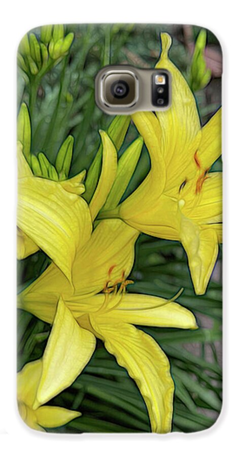 Yellow Daylilies In July - Phone Case