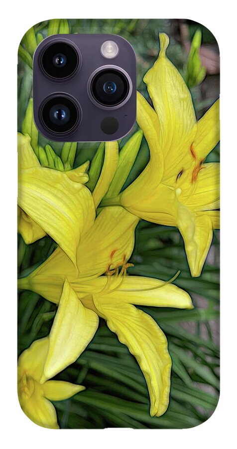 Yellow Daylilies In July - Phone Case