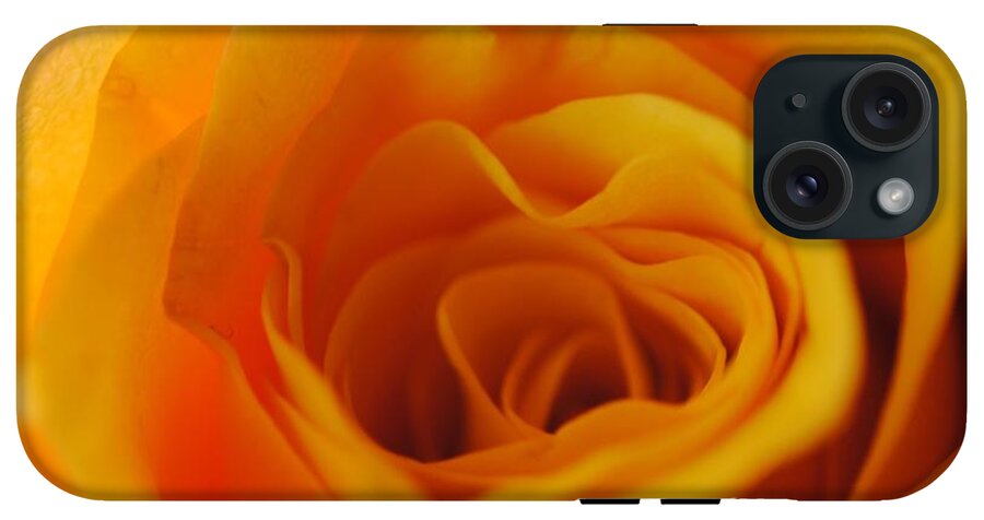 Yellow Rose Close Up - Phone Case