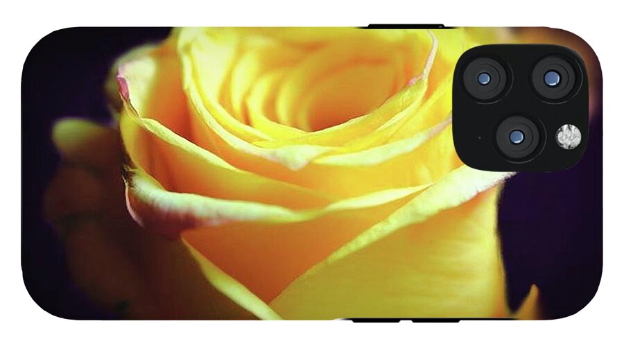 Yellow Rose Soft Light - Phone Case