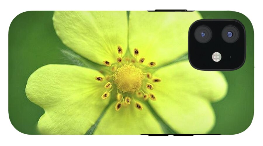 Yellow Wildflower - Phone Case