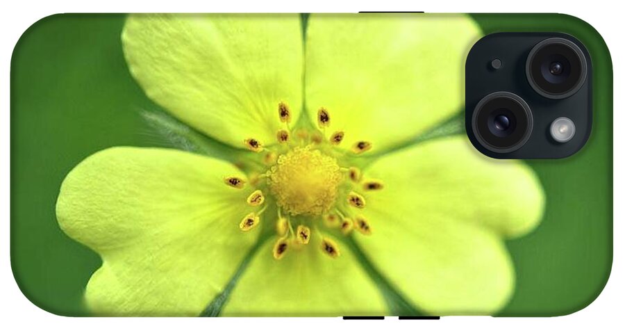Yellow Wildflower - Phone Case