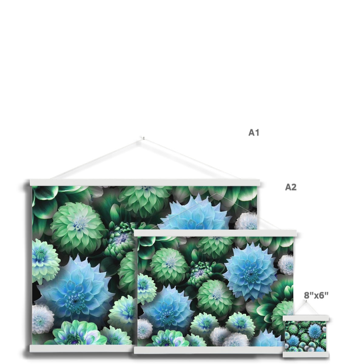 Blue Green Dahlias Fine Art Print with Hanger