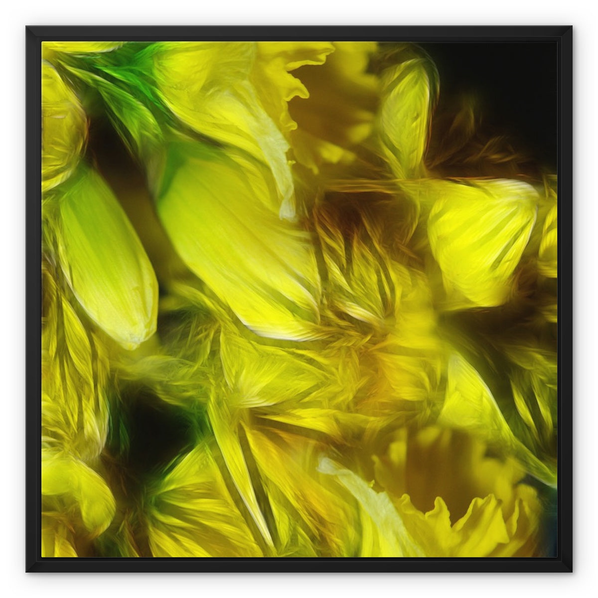 Abstract Yellow Daffodils Framed Canvas