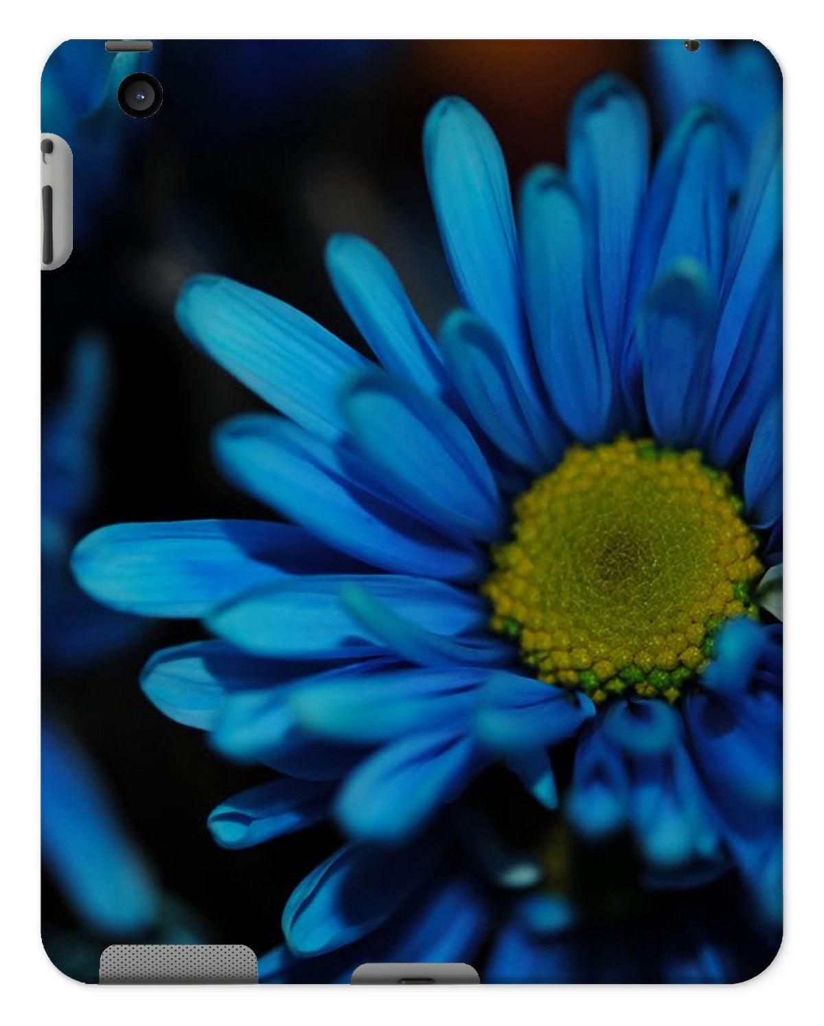 Blue Daisy Tablet Cases