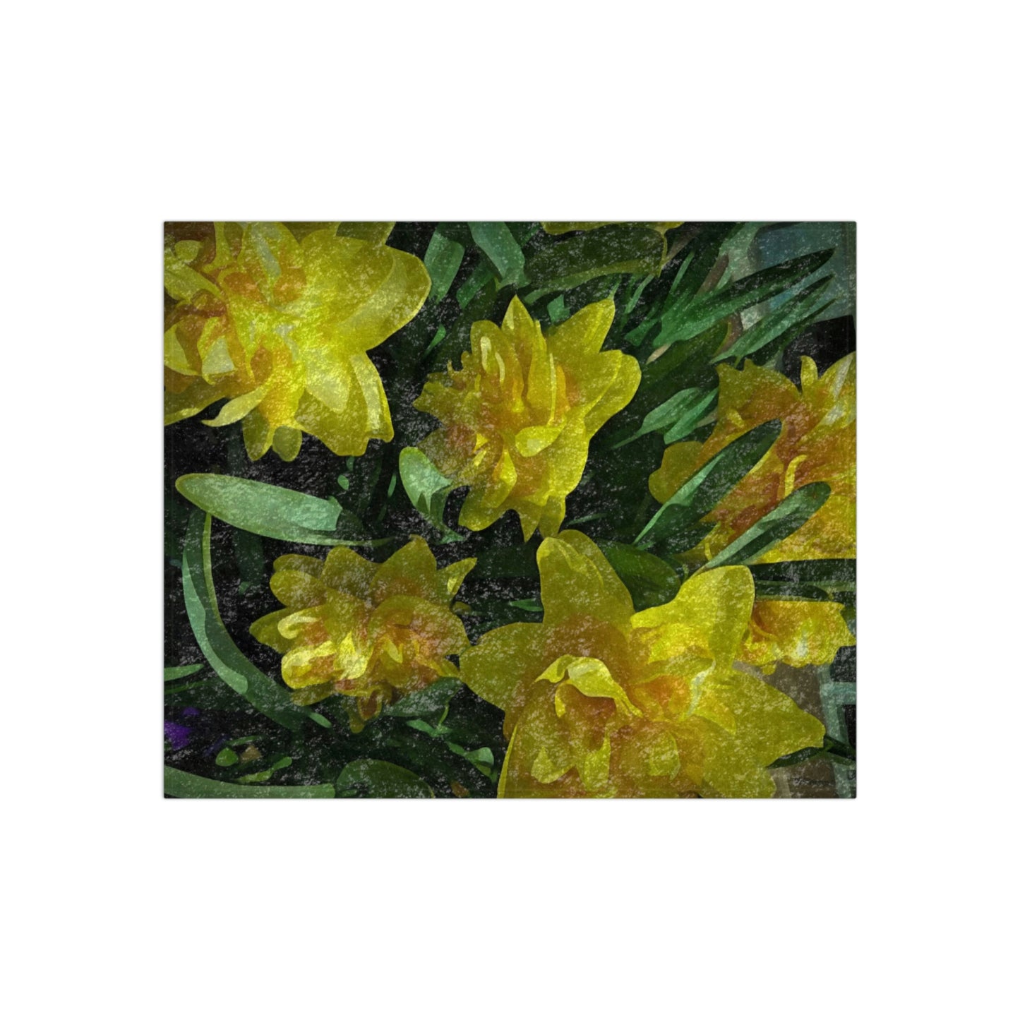 Bright Yellow Daffodils Crushed Velvet Blanket