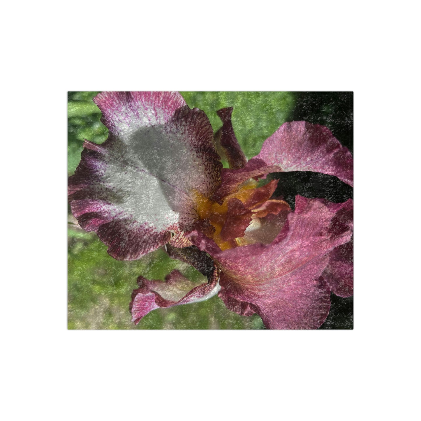 Burgundy Iris Crushed Velvet Blanket