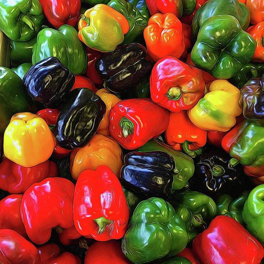 Colorful Bell Peppers - Art Print
