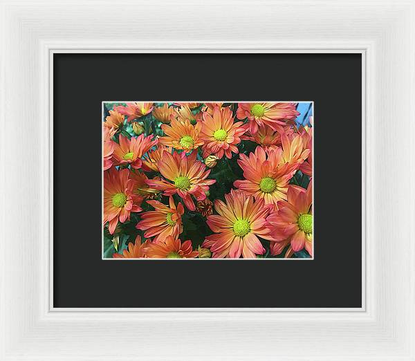 Cream and Pink Fall Flowers - Framed Print