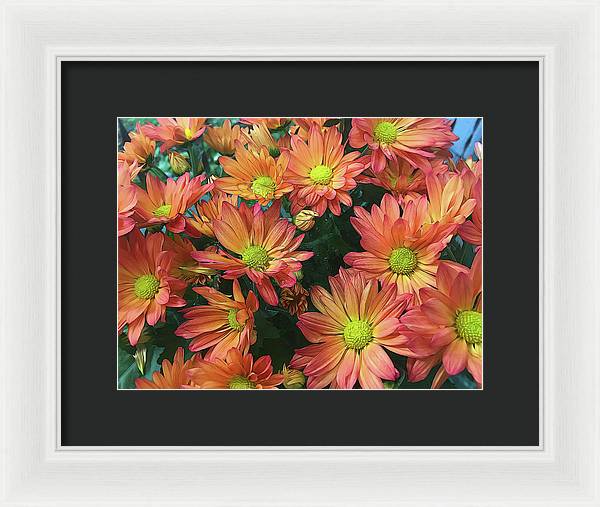 Cream and Pink Fall Flowers - Framed Print