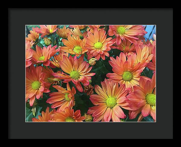 Cream and Pink Fall Flowers - Framed Print