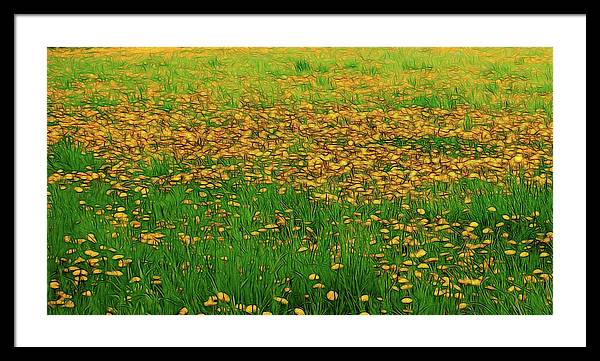 Dandelion Field - Framed Print