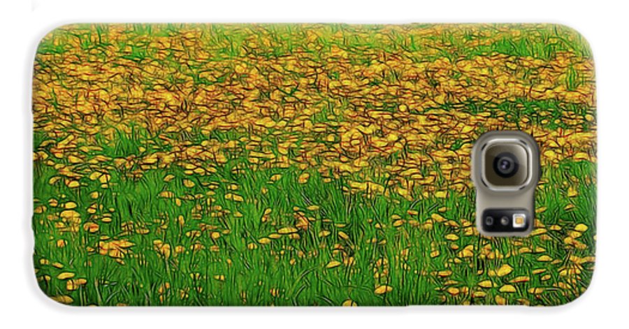 Dandelion Field - Phone Case