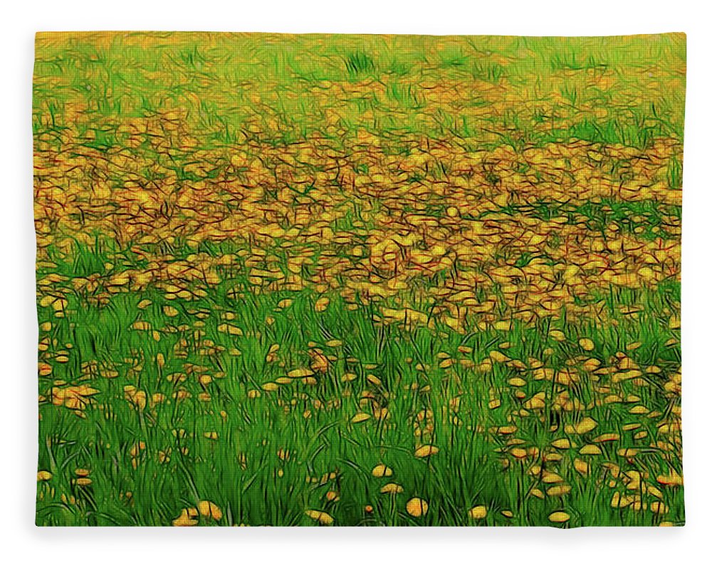 Dandelion Field - Blanket