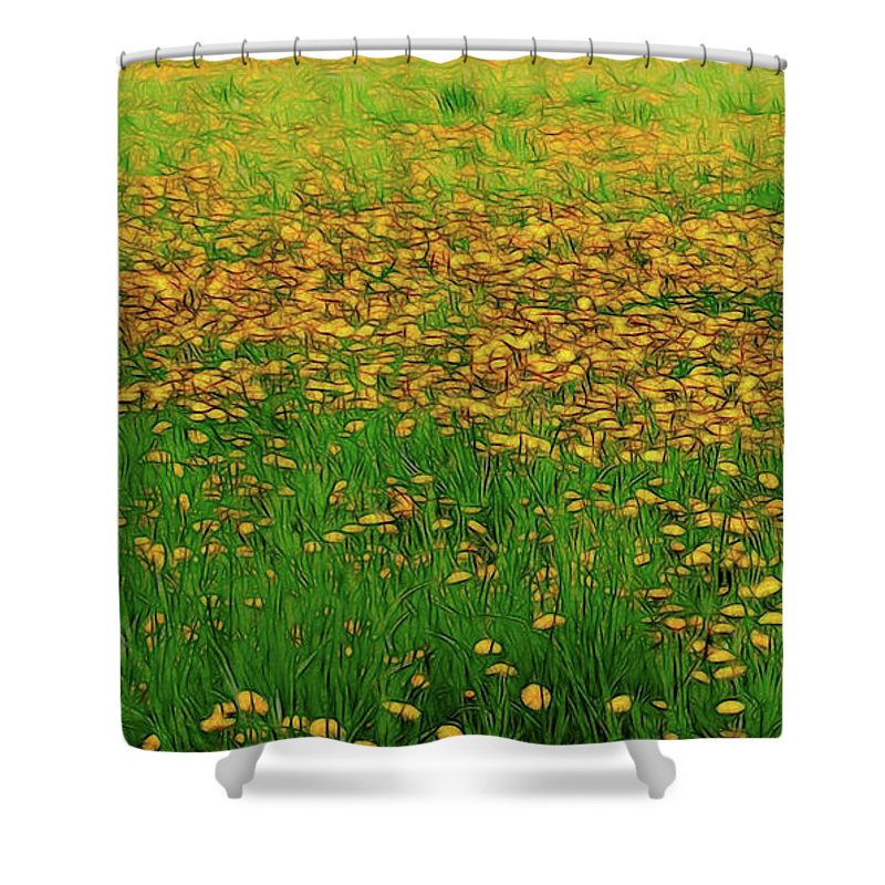 Dandelion Field - Shower Curtain
