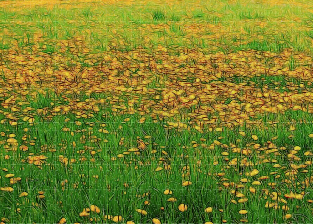 Dandelion Field - Puzzle