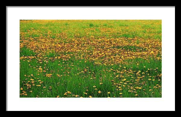 Dandelion Field - Framed Print