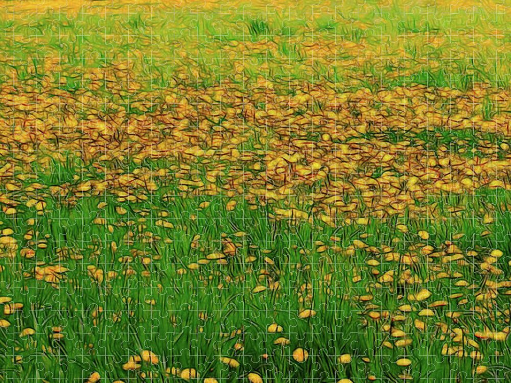 Dandelion Field - Puzzle