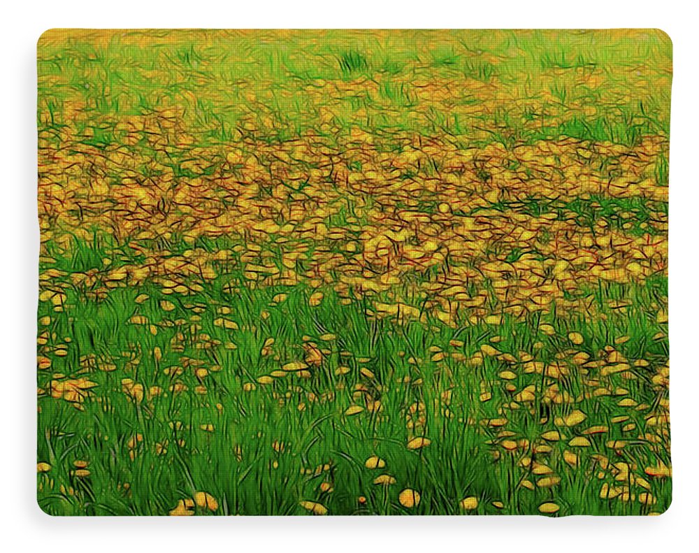 Dandelion Field - Blanket