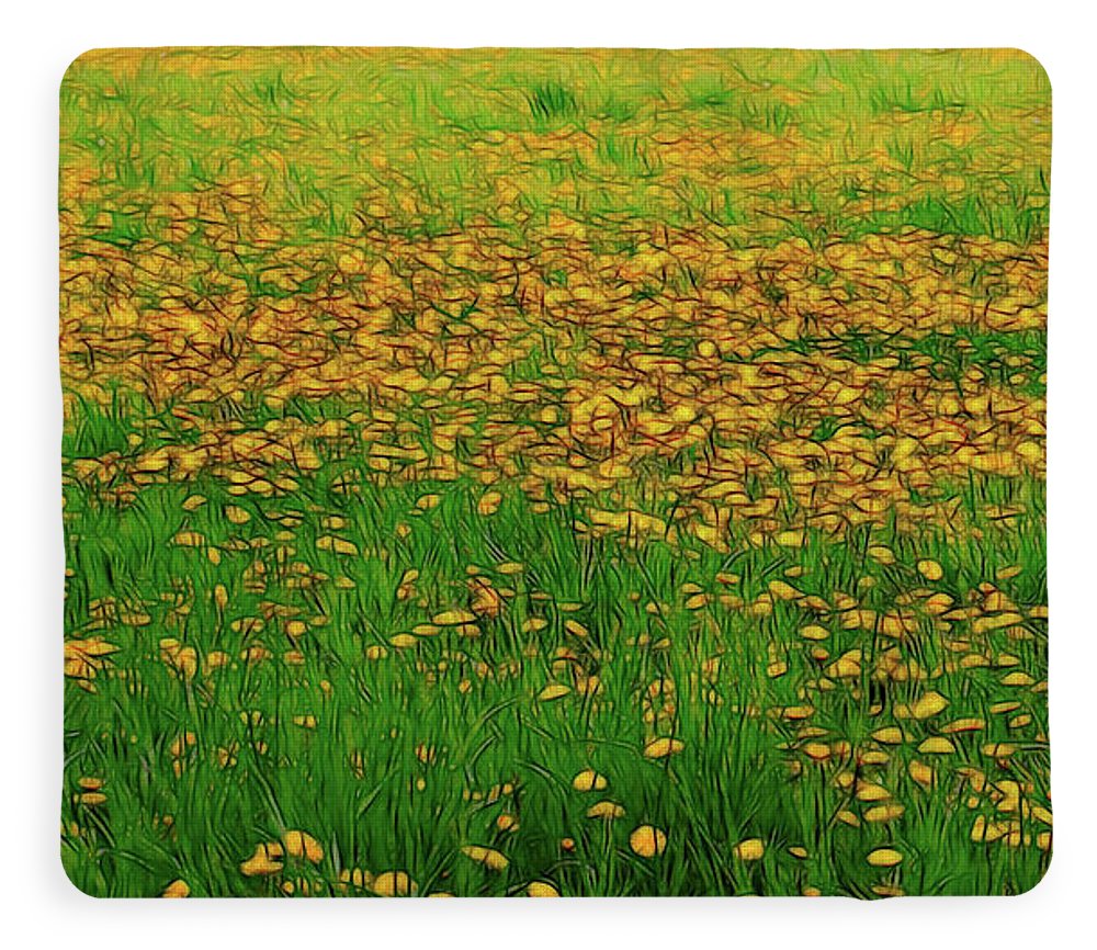 Dandelion Field - Blanket